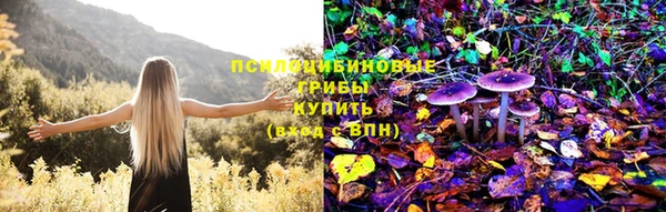 ПСИЛОЦИБИНОВЫЕ ГРИБЫ Алексин