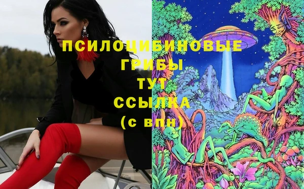 ПСИЛОЦИБИНОВЫЕ ГРИБЫ Алексин
