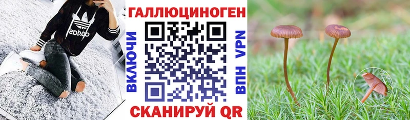 Псилоцибиновые грибы Cubensis  Черемхово 