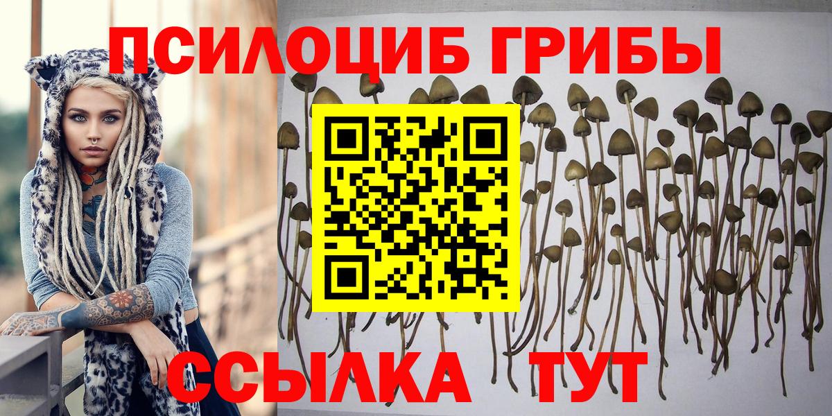 Черемхово  Галлюциногенные грибы Magic Shrooms  Галлюциногенные грибы Psilocybe  Вход с VPN 